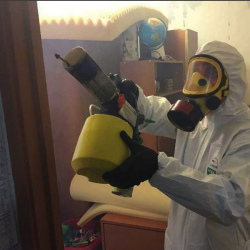 Уничтожение клопов в квартире. Проспект Просвещения