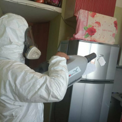 Уничтожение насекомых в квартире. Проспект Просвещения